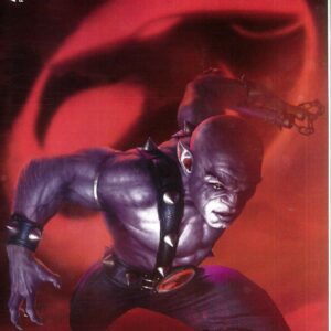 THUNDERCATS (2024 SERIES) #10: Rahzzah cover E