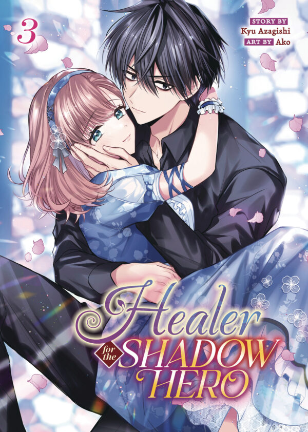HEALER FOR THE SHADOW HERO GN #3