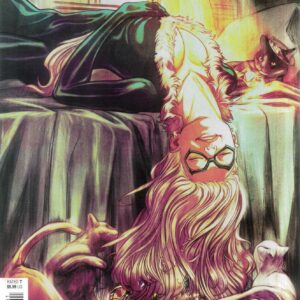 AMAZING SPIDER-MAN (2025 SERIES) #1: Nimit Malavia Black Cat cover E