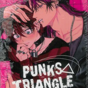 PUNKS TRIANGLE GN
