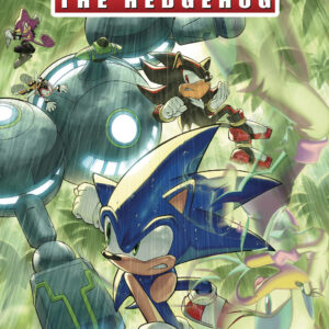SONIC THE HEDGEHOG (2018 SERIES) #80 Aaron Hammerstrom cover A