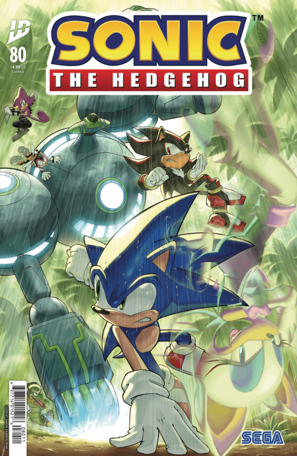SONIC THE HEDGEHOG (2018 SERIES) #80 Aaron Hammerstrom cover A