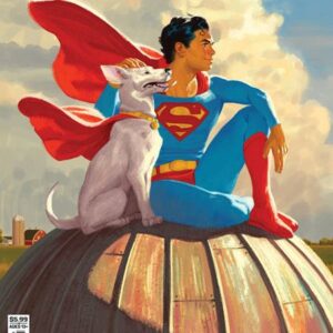 ACTION COMICS (1938- SERIES: VARIANT COVER) #1087: David Talaski cover B