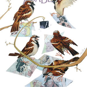 UMBRELLA ACADEMY: PLAN B #3 Matias Bergara cover B