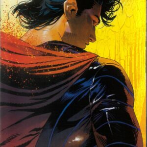 ABSOLUTE SUPERMAN #7: Dan Panosian RI cover E