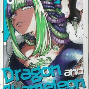 DRAGON AND CHAMELEON GN #3