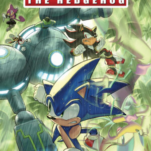 SONIC THE HEDGEHOG (2018 SERIES) #80: Aaron Hammerstrom cover A