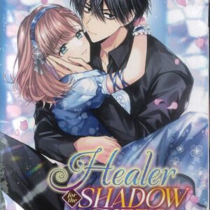 HEALER FOR THE SHADOW HERO GN #3