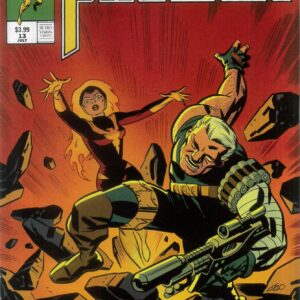 PHOENIX (2024 SERIES) #13: Retro Vision cover B PHOENIX (2024 SERIES) #13: Retro Vision cover B