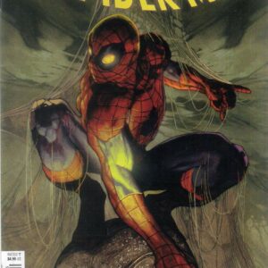 AMAZING SPIDER-MAN (2025 SERIES) #7: Simone Bianchi RI cover P