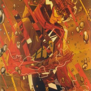 ABSOLUTE FLASH #5: Nimit Malavia RI cover D
