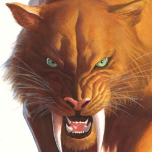 BLACK CAT (2025 SERIES) #2 Alex Ross Timeless cover B