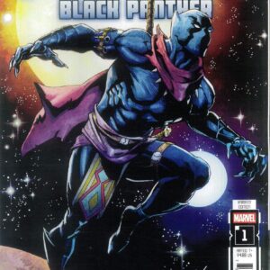IMPERIAL WAR: BLACK PANTHER #2: Mark Bagley cover B