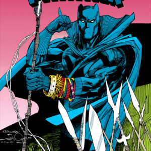 BLACK PANTHER: REVENGE OF BLACK PANTHER OMNIBUS Denys Cowan cover
