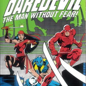 DAREDEVIL EPIC COLLECTION TP #8: To Dare the Devil (#155-176)