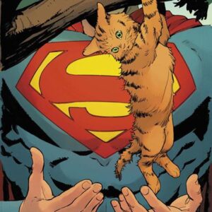 SUPERMAN UNLIMITED #5 Matteo Lolli cover E