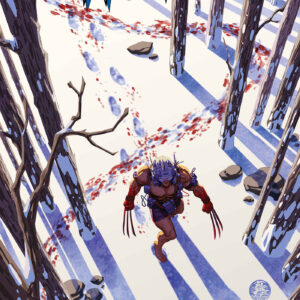 WOLVERINE (2024 SERIES) #13 Mark Brooks cover B