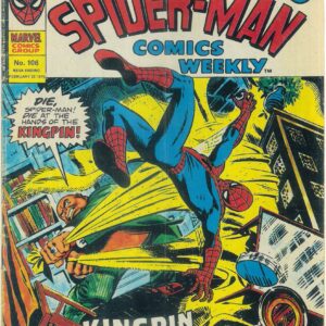 SPIDER-MAN COMICS WEEKLY (1973 SERIES) #106: VG