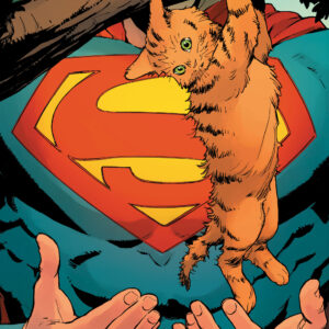 SUPERMAN UNLIMITED #5: Matteo Lolli cover E SUPERMAN UNLIMITED #5: Matteo Lolli cover E