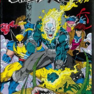 GHOST RIDER DANNY KETCH OMNIBUS (HC) #2: Jim Lee Direct Market cover GHOST RIDER DANNY KETCH OMNIBUS (HC) #2: Jim Lee Direct Market cover