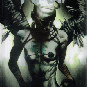 PUNCH COLLECTED EDITION (HC)