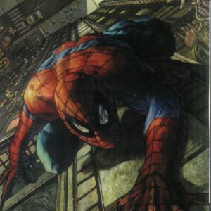 AMAZING SPIDER-MAN (2025 SERIES) #12: Simone Bianchi virgin RI cover Q