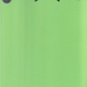 STARSHIP GODZILLA [KAI-SEI ERA] #1: Blank Sketch cover D