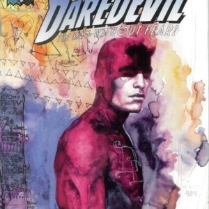 DAREDEVIL (1998-2009 SERIES) #24