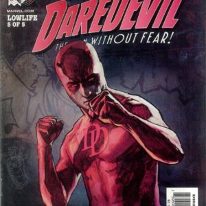 DAREDEVIL (1998-2009 SERIES) #45
