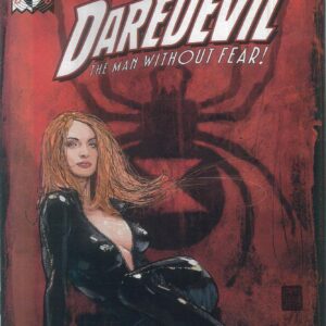 DAREDEVIL (1998-2009 SERIES) #63