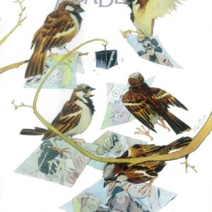 UMBRELLA ACADEMY: PLAN B #3: Matias Bergara cover B