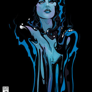 BIRDS OF PREY (2023 SERIES) #27 Christian Ward cover C