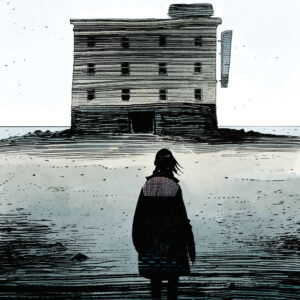 MINOR ARCANA #12 Daniel Hansen cover E