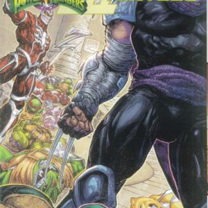 POWER RANGERS/TEENAGE MUTANT NINJA TURTLES III #3: Freddie Williams II cover B POWER RANGERS/TEENAGE MUTANT NINJA TURTLES III #3: Freddie Williams II cover B