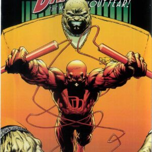 DAREDEVIL (1998-2009 SERIES) #86