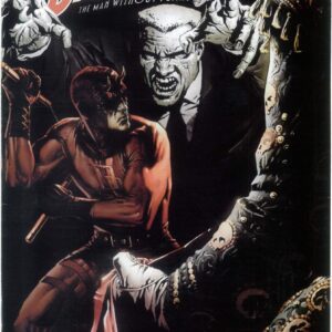DAREDEVIL (1998-2009 SERIES) #91