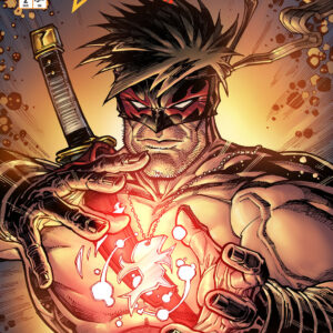 FINAL BOSS #2: Chad Hardin cover C FINAL BOSS #2: Chad Hardin cover C