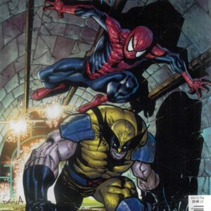 SPIDER-MAN & WOLVERINE (2025 SERIES) #7: Sergio Davila RI cover P
