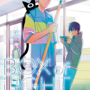 BOX OF LIGHT GN #4 BOX OF LIGHT GN #4