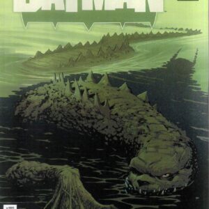 ABSOLUTE BATMAN #12: Nick Dragotta 2nd Print ABSOLUTE BATMAN #12: Nick Dragotta 2nd Print