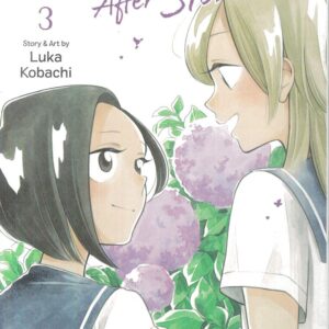 RAINBOWS AFTER STORMS GN #3 RAINBOWS AFTER STORMS GN #3