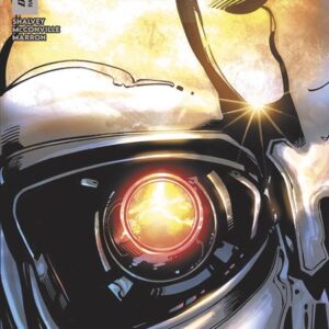 TERMINATOR: METAL #5 Bob Layton cover B