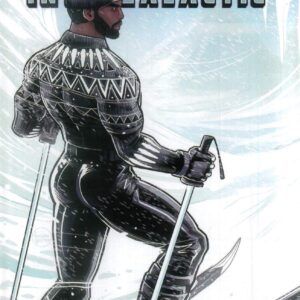 BLACK PANTHER: INTERGALACTIC #1: Luciano Vecchio Winter Break cover B BLACK PANTHER: INTERGALACTIC #1: Luciano Vecchio Winter Break cover B