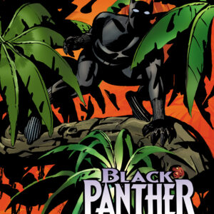 BLACK PANTHER 60TH ANNIVERSARY SPECIAL #1 Steve Rude cover C
