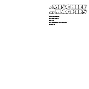 A MISCHIEF OF MAGPIES #1 Daniel Warren Johnson cover E